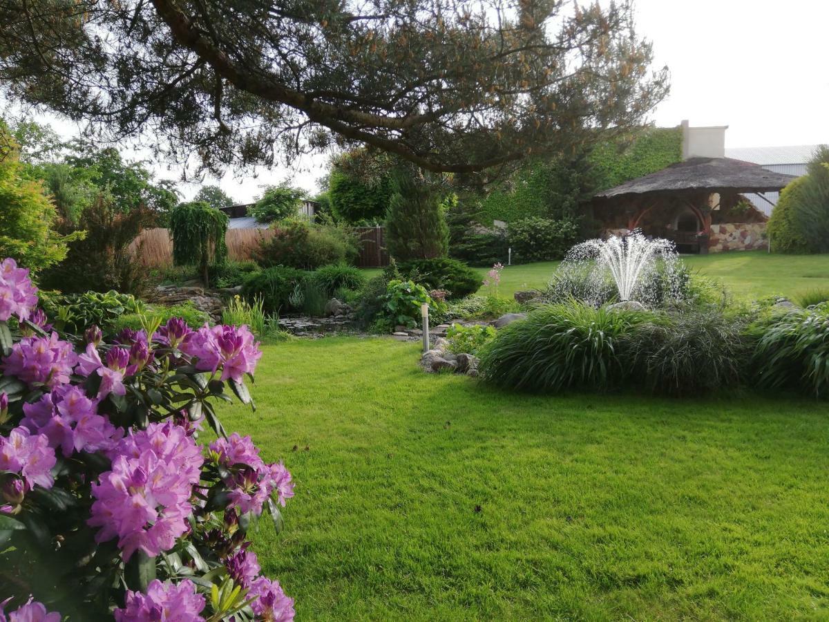 Hotel Agro Relax Nowodwór Zewnętrze zdjęcie